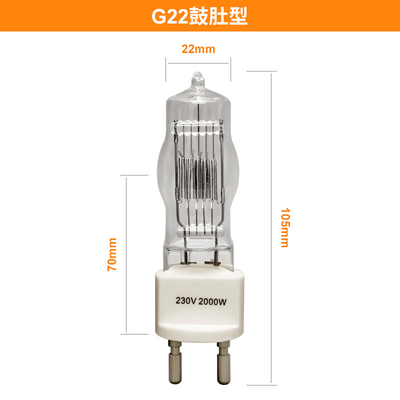 lampadina conclusa dell'alogeno della lampada di 230v 2000w G22 singola 3200k 300Hours