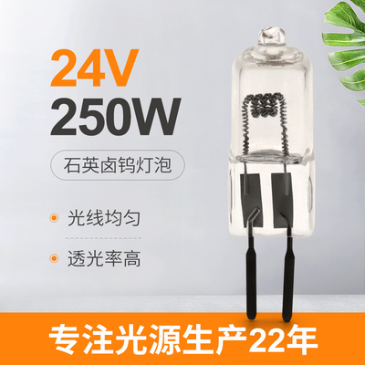 24V fase della lampada di proiezione dell'alogeno della lampadina del quarzo da 250 watt che accende l'incavo di 50hours GY6.35