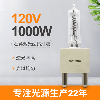 fase dell'alogeno delle lampadine del quarzo di 120V 1000W e lampada di riscaldamento infrarosse G38 dello studio