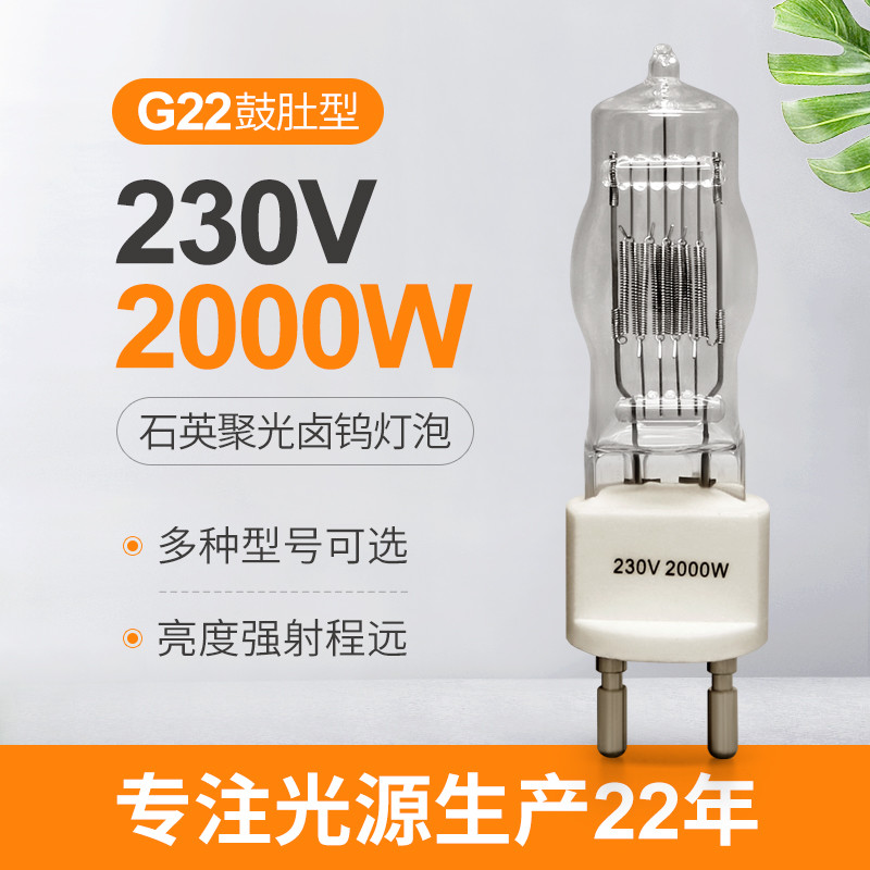 lampadina conclusa dell'alogeno della lampada di 230v 2000w G22 singola 3200k 300Hours