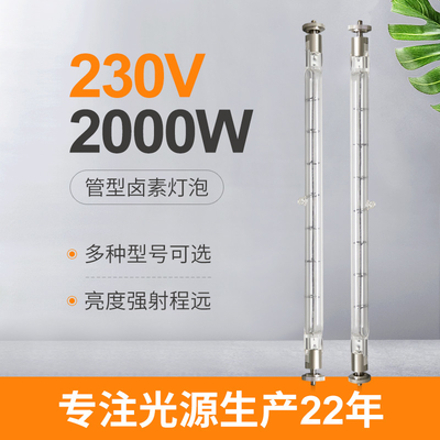 il doppio del tungsteno di 230V 2000W ha concluso i cavi lineari dell'annuncio pubblicitario 215mm della lampada dell'alogeno