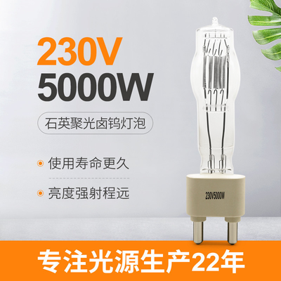 nozze Antivari di spettacolo dello studio della lampadina della lampada al quarzo della fase di 230V 5000W G38